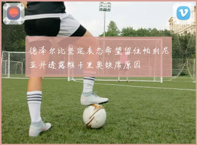 德泽尔比坚定表态希望留住帕利尼亚并透露维卡里奥缺席原因