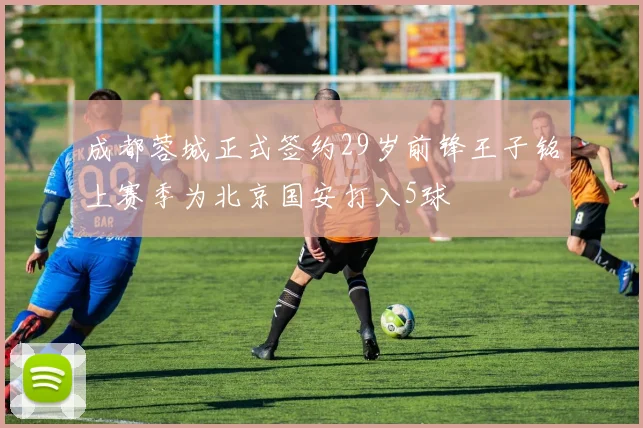 成都蓉城正式签约29岁前锋王子铭上赛季为北京国安打入5球