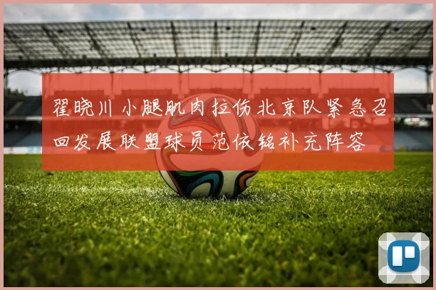翟晓川小腿肌肉拉伤北京队紧急召回发展联盟球员范依铭补充阵容